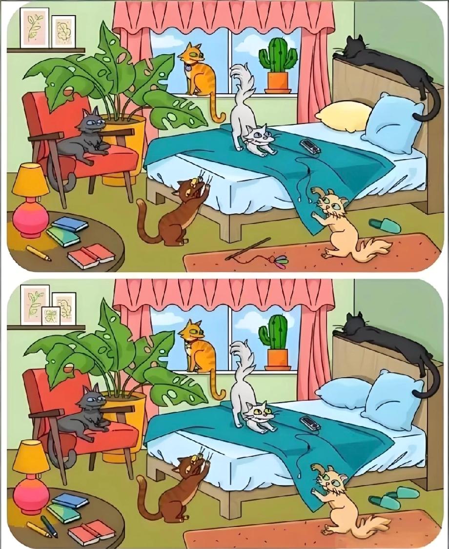  被这组猫咪卧室找不同难住了，你能看出图里的3处不一样吗？