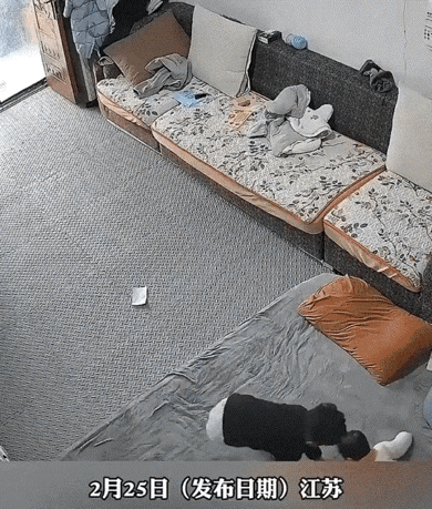 万万没有想到，江苏，妈妈有事准备出门，出门前就让大点的儿子，照顾一下还不会走路的