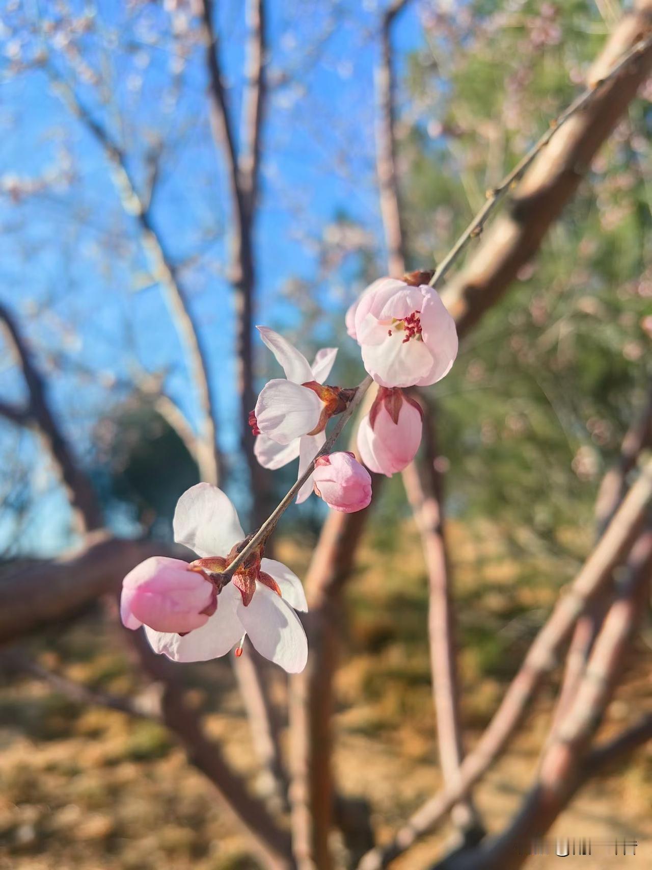 职场中，头脑灵活的10个表现:1、不在小事上较真，不在原则上退让，分得清什