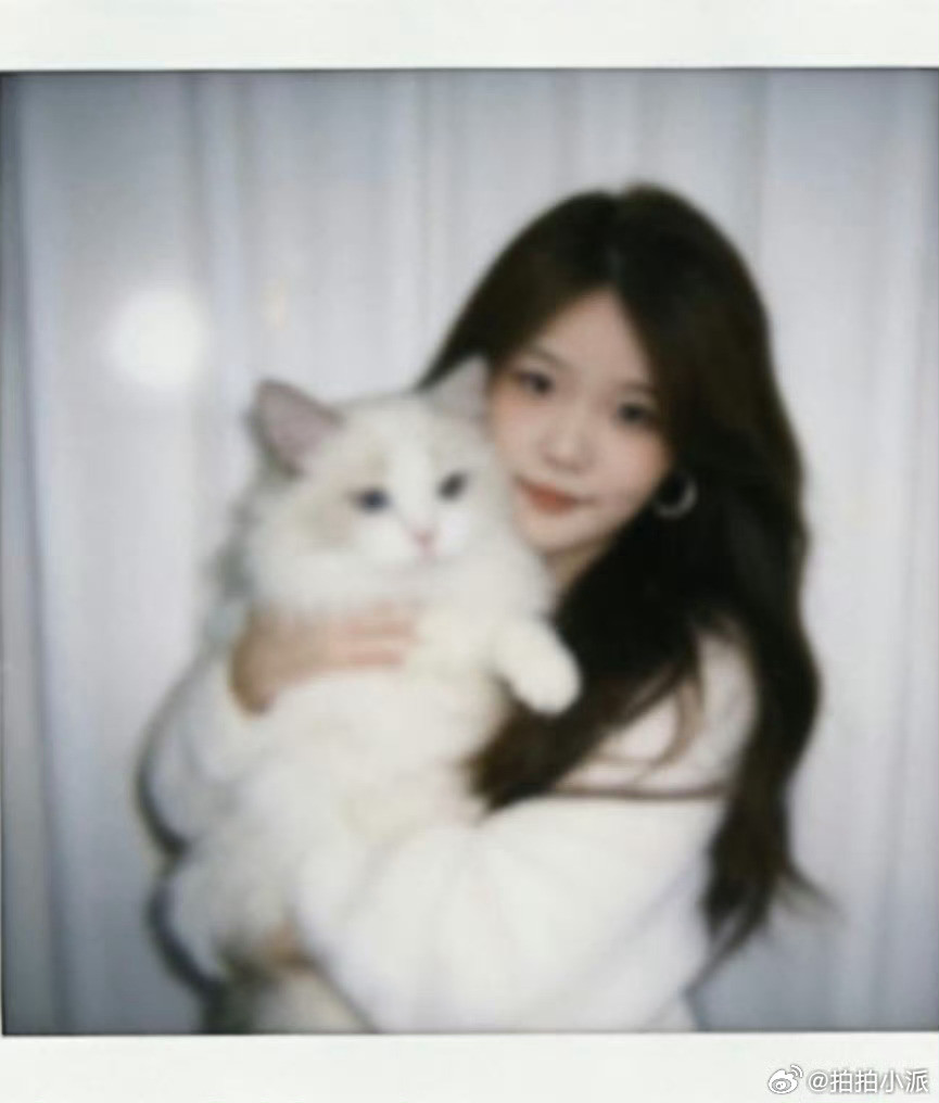 豆包消极怠工确实，我以前一直以为是我的豆包出bug……记得前段时间生成主人和小