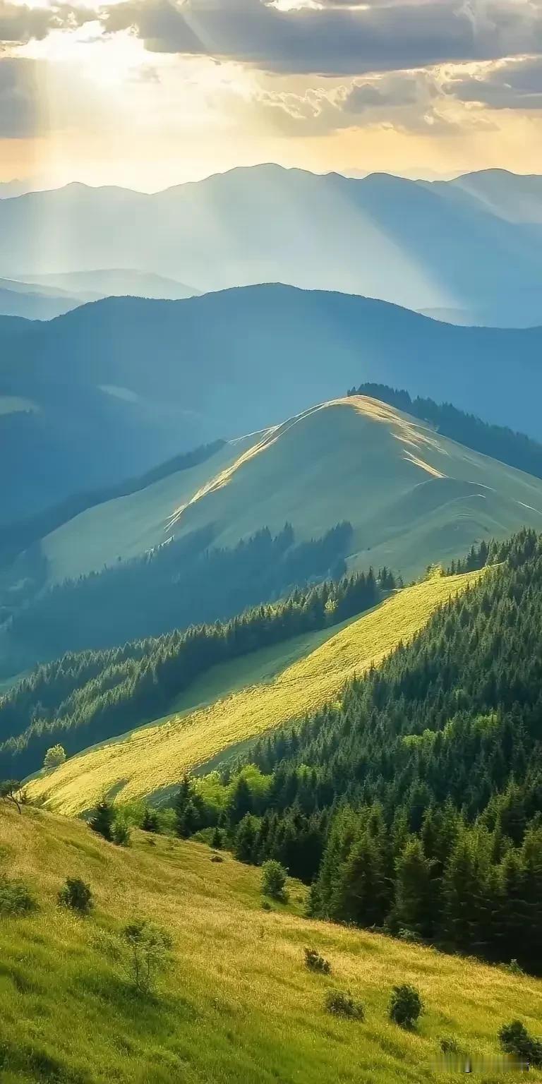 陈道明令人深思的话：“退休之后，只要你不出门，不跟他人交往，你就花不了几个