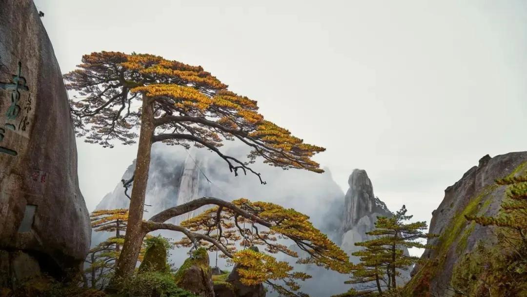 当你走遍世界各地，才发现真的没啥意思！前几天，好朋友约我去家里吃饭。
