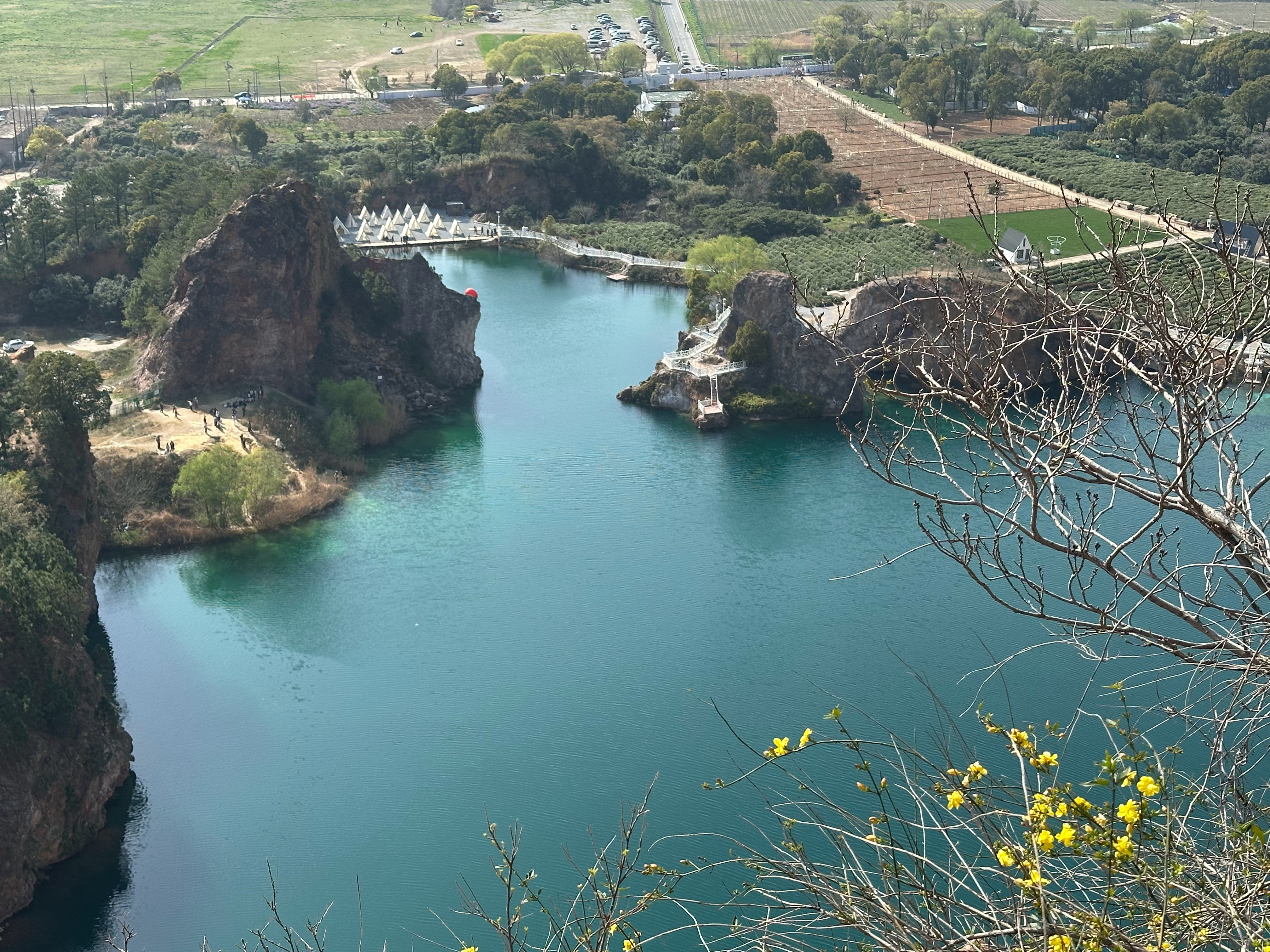 唯一的遗憾就是忘带了应援旗苏州·江苏大阳山国家森林公园植物园景区
