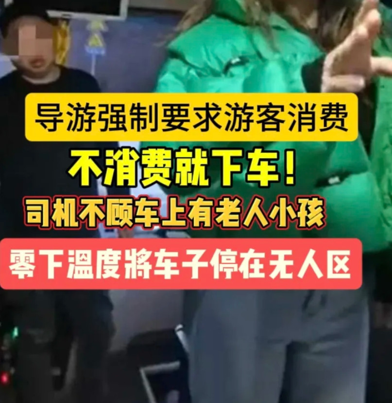 旅行团游客被女导游要求必须购买高价玉石，有人带头抵制被骂，全车人跟着一起抵制，遭