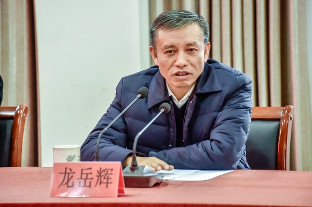 国家税务总局浙江省税务局原副局长龙岳辉主动投案
