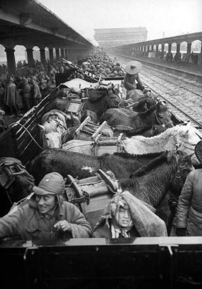 国民党败退台湾时，不少黄埔系将领都随蒋介石逃到了台湾。其中包括何应钦，顾祝同，陈