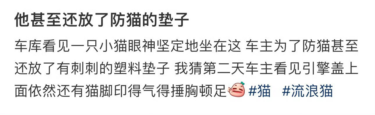 他甚至还放了防猫的垫子​​​
