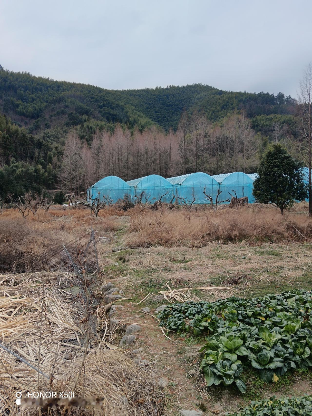 从2026年1月1日开始，咱们平时用的公积金贷款和商业贷款利率都一起降低了！就