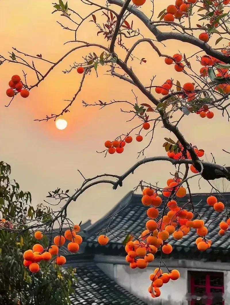 临近中秋节，涨价最猛的6种商品：1.牛肉2.高端水果礼盒3.粮油米