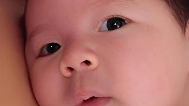 全网都被汪小菲家的小福星汪宝马萌翻啦！这小家伙简直可爱到犯规，一天一个新模样，帅