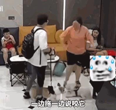 “必须严惩！”6月14日，湖南郴州，一男子进入宠物店后，强行拽着自己养的柯基犬，