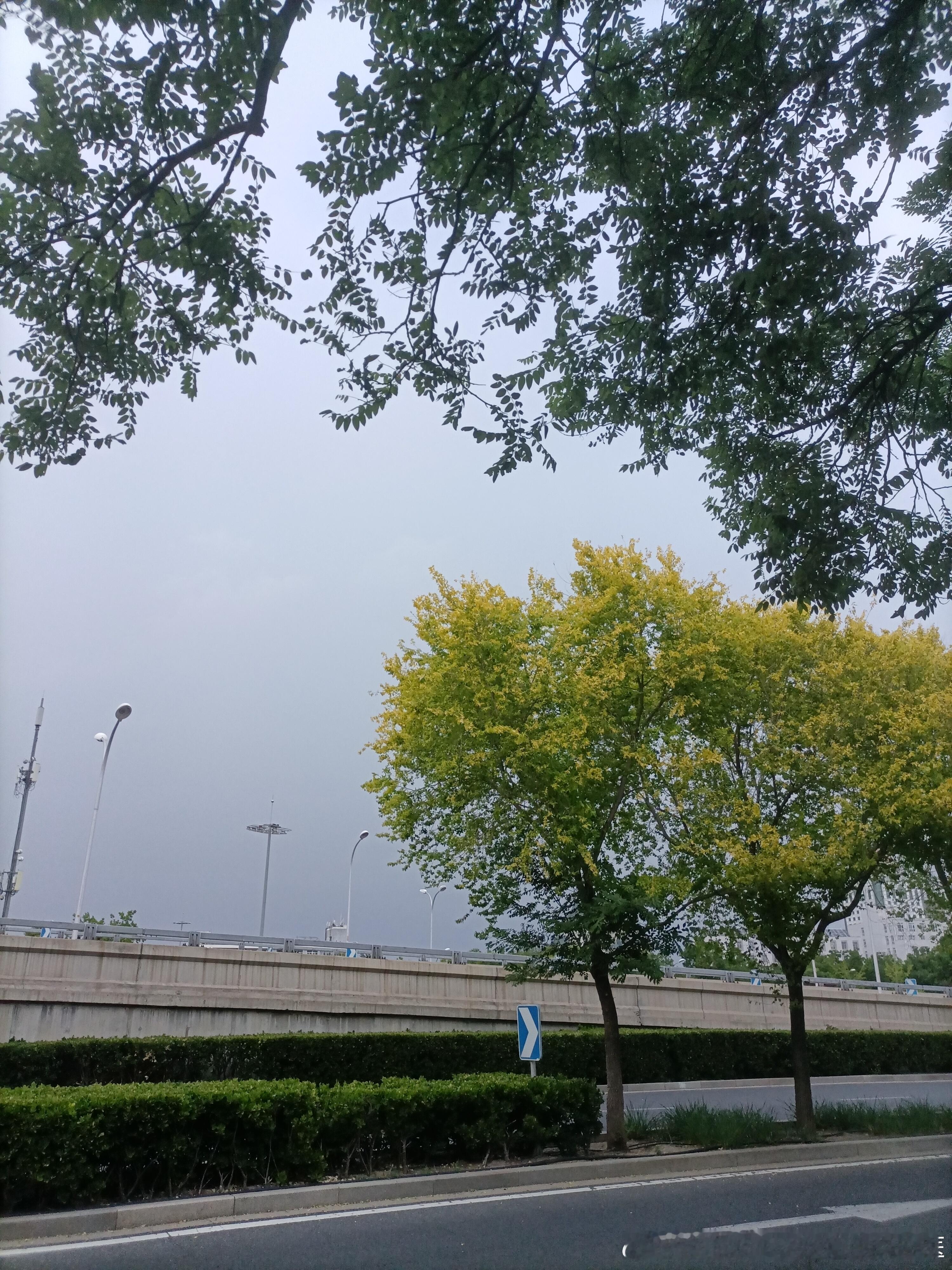 如何分辨医疗文案的真伪国医的精诚力量中医式生活比如：针灸止痒比吃药更快！只需两