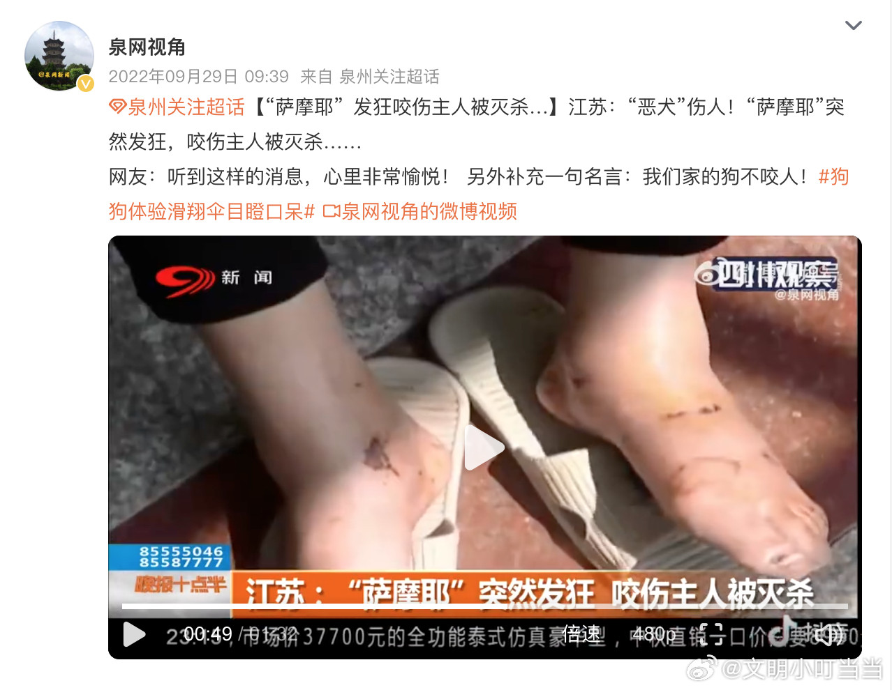 在香港得到乖狗证的萨摩耶野鸡机构发乖狗证​​​