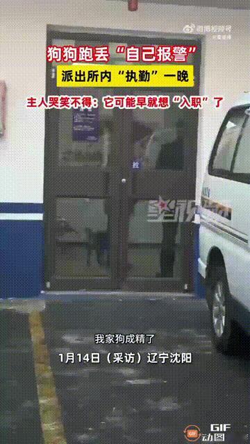 “我家狗子成精了！”辽宁沈阳一名女子养了一只小狗，本来一直都是拴着的，没想到小狗