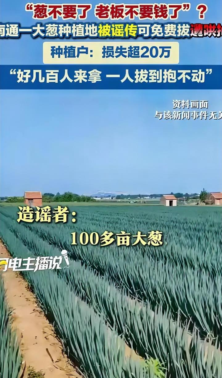 造谣者真缺德啊，导致90亩大葱遭哄抢，农民损失20多万。近日南通有一人发视频