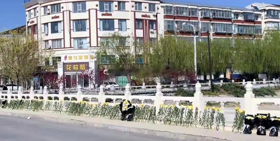 3月30日深夜，河北石家庄晋州市石津总干渠发生一起惨剧。一名女子不慎落水，三名路