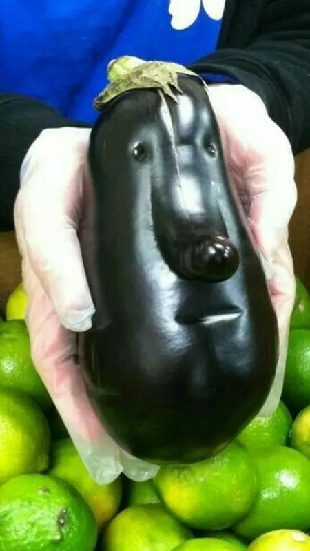 我发现了老板的一个秘密。他每天下班后躲在办公室吃增发胶囊。今天他叫住我时