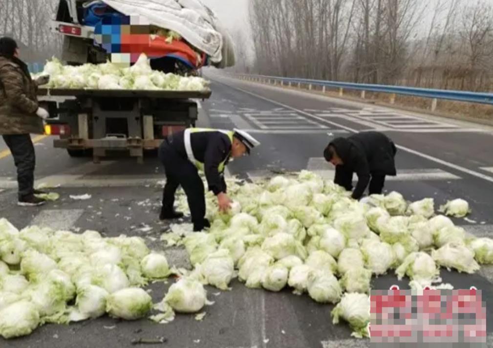 一车白菜被举报“喷了甲醛”，检测合格后，市场却没有马上恢复销售。这件事最值得看