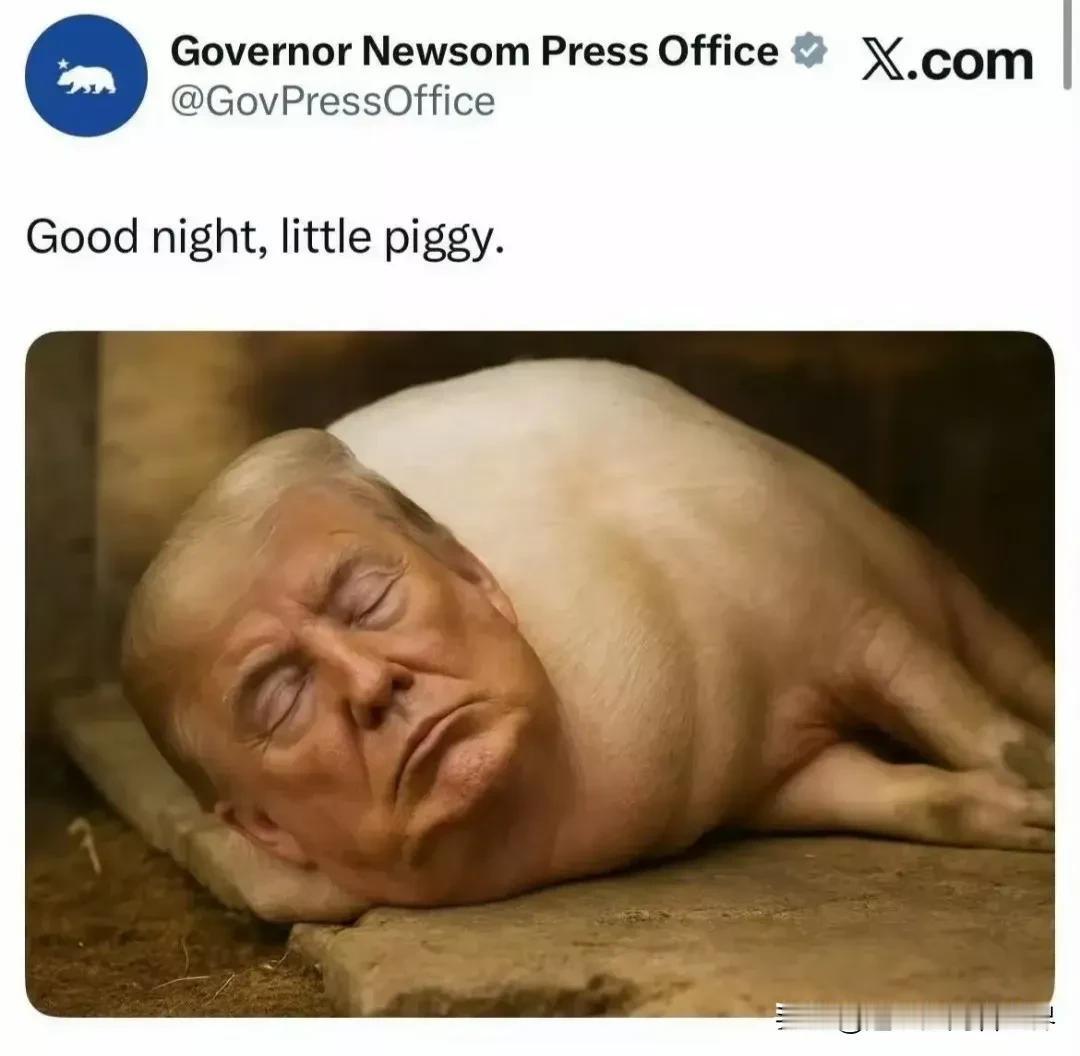 这《一头猪》的漫画，近日在国外媒体广泛流传。这是美国加州州长纽森在社交平台发布，