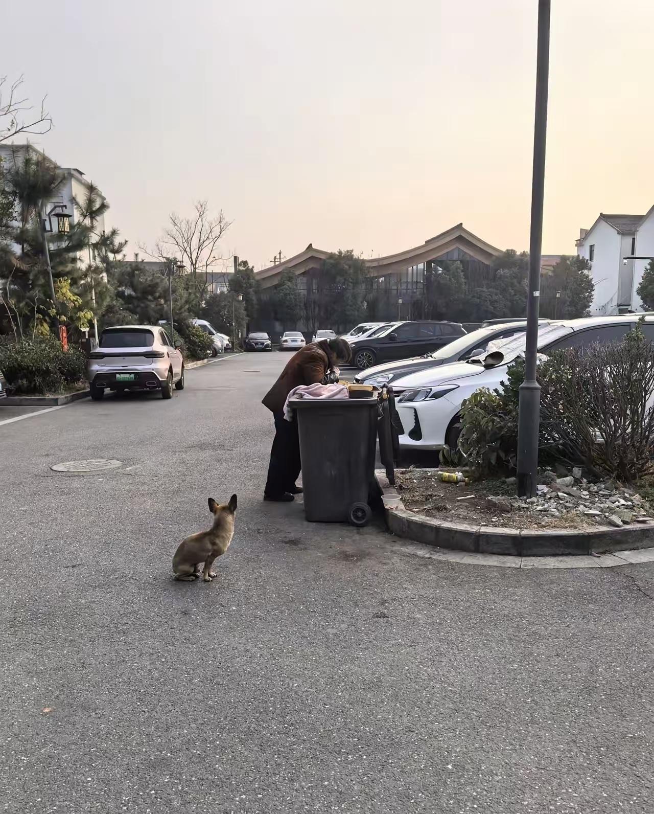 贵州遵义有一个68岁的阿姨，每个月退休金4000多元，老公每个月5000多，儿女