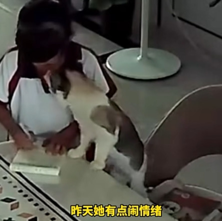 “万物皆有灵！”6月27日，广东一女孩因为不肯写计算题闹脾气，女孩的妈妈表示写完