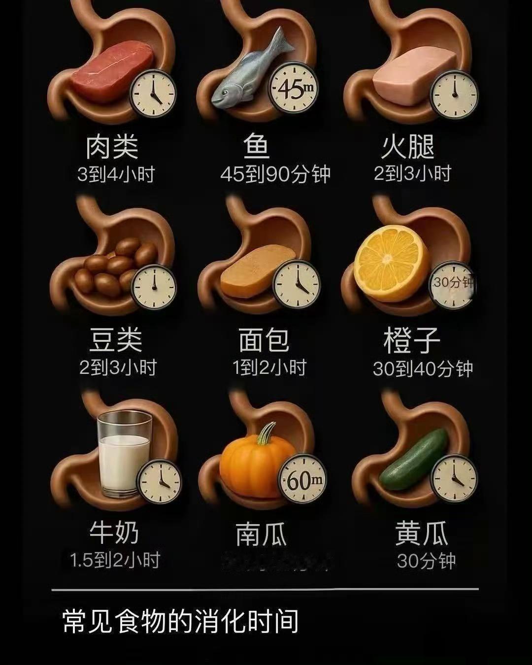 吃肉才最耐饿