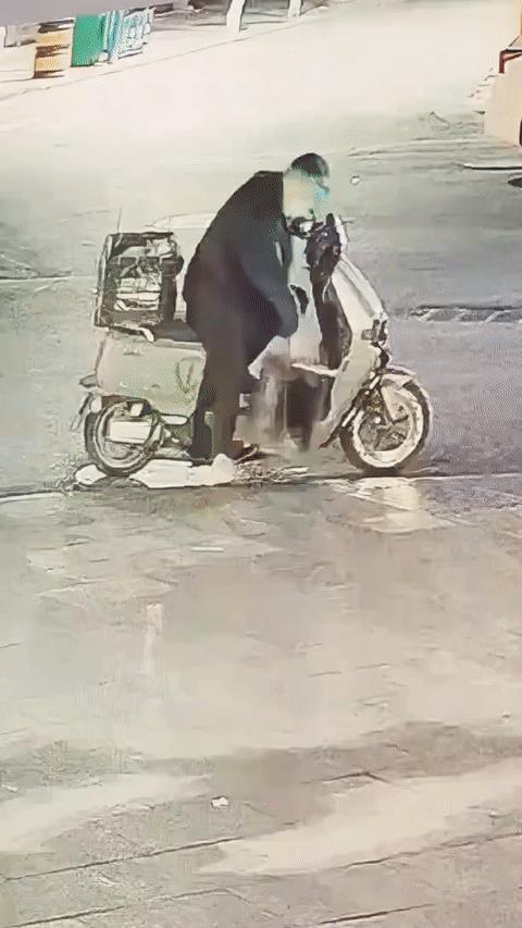 原来家猫，就是这么丢的…😯
