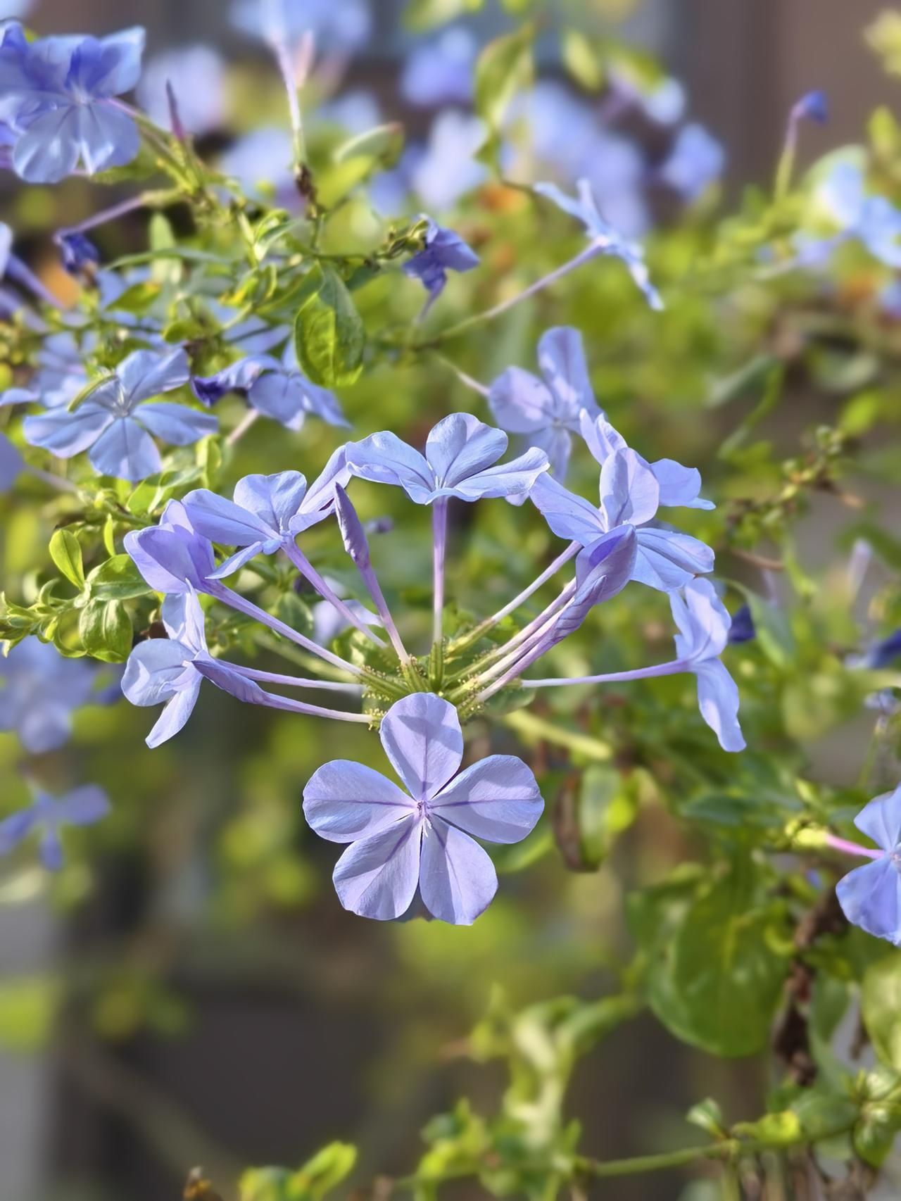 年近50，我明显感觉身体机能的退化。1️⃣吃东西卡牙齿。牛肉也好，金针菇炒芹