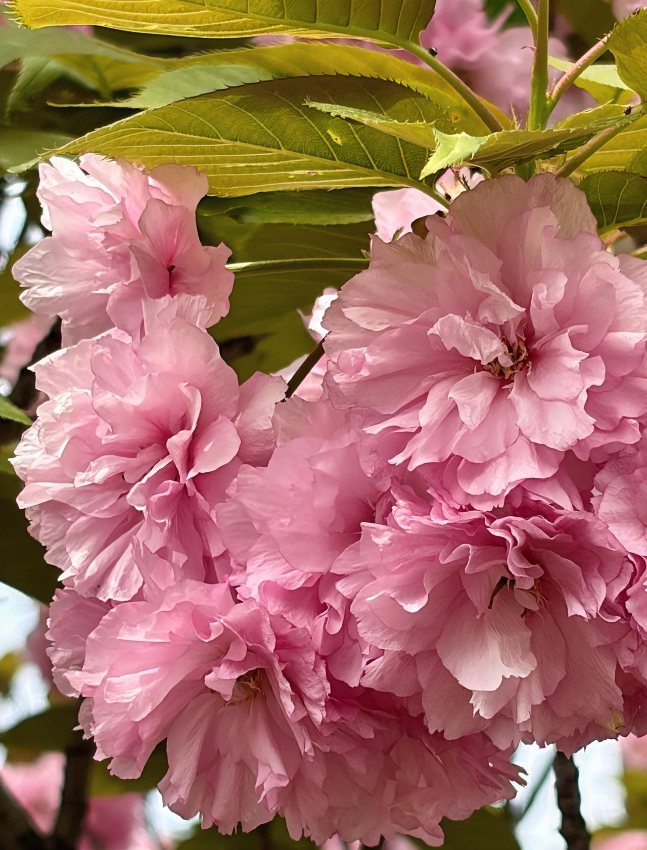 我发现一件很现实的事。女人结婚以后，想要日子过得安稳舒心，一定要跟婆家保持适