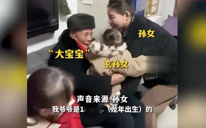 相差108岁的两个“龙宝宝”同框，这画面简直暖炸了！1916年出生的龙奶奶过了1