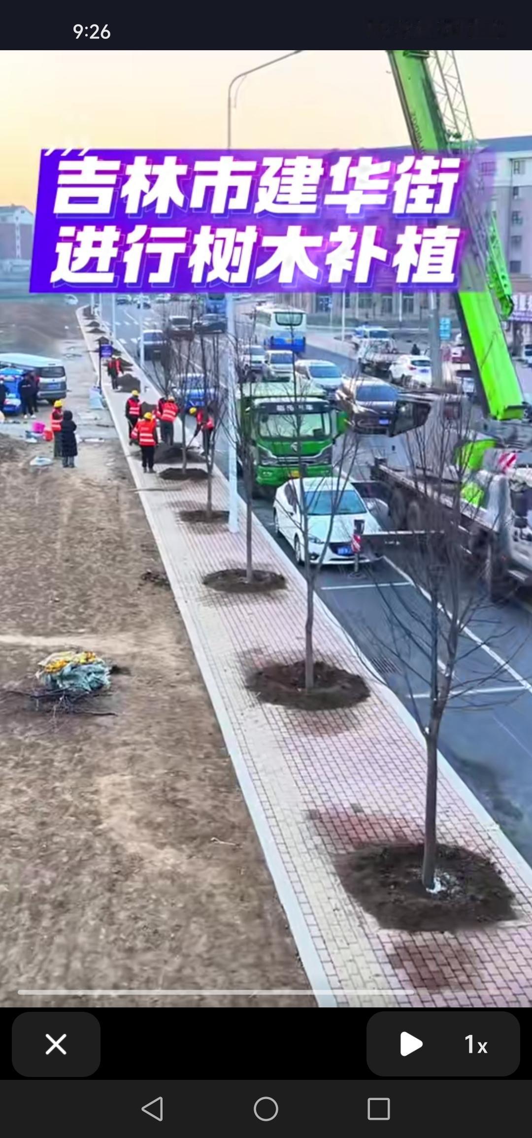 吉林市建华街开启了树木补植工作，期待明年夏天，这里定会美不胜收。吉林市建华街