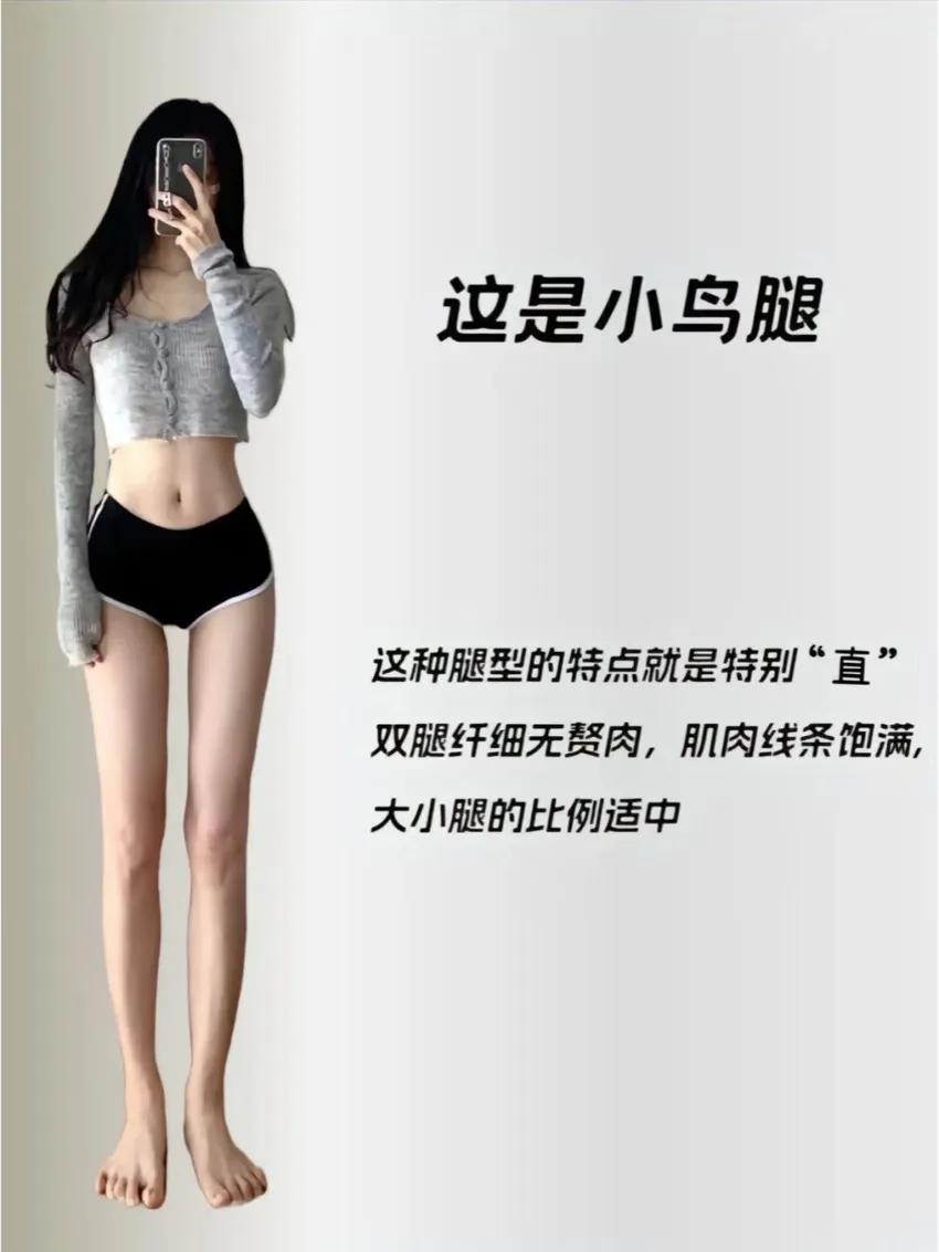 女生美腿控