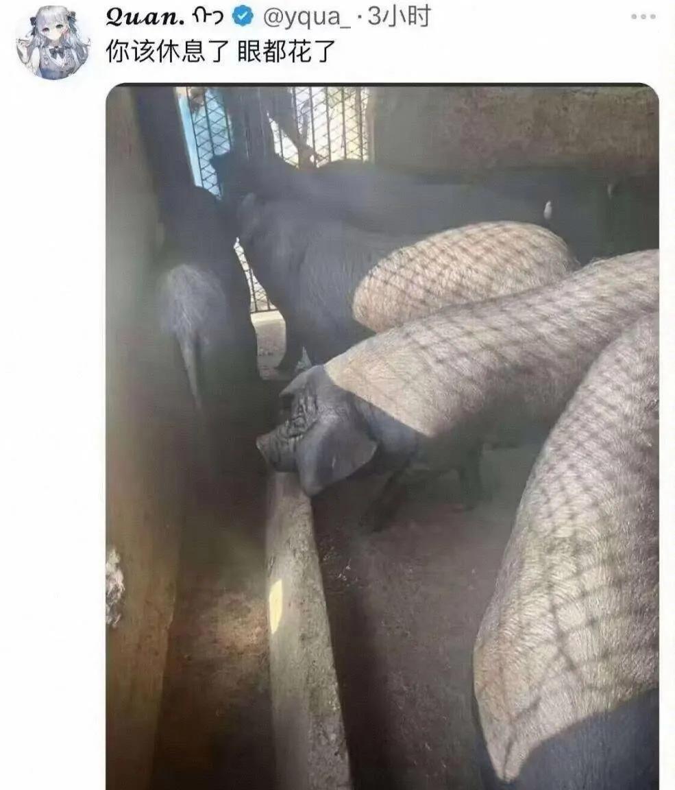 老婆，你的眼睛该休息一下了