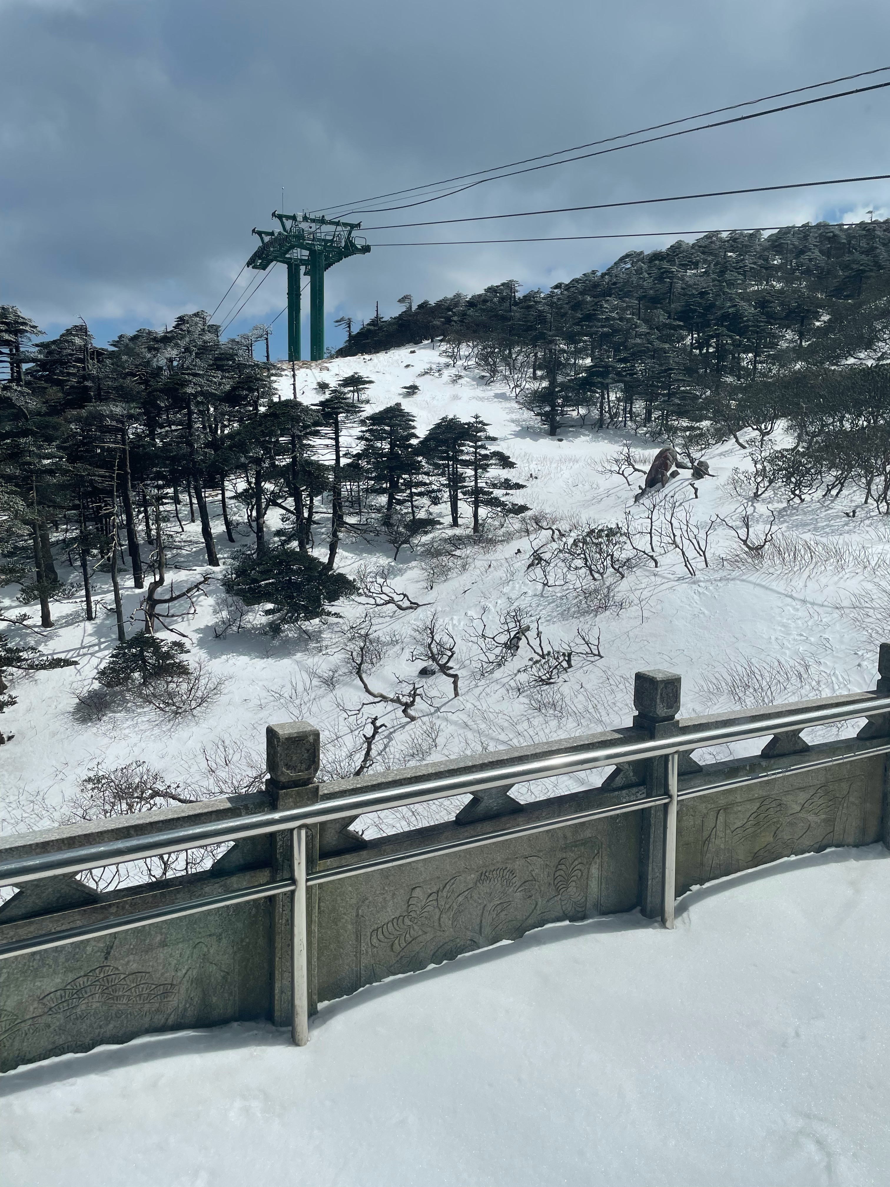 直接索道上山顶，雪景确实不错，就是风有点大，头有点晕[汗]