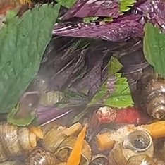 每日一餐分享晚上想搞点硬菜，喝点