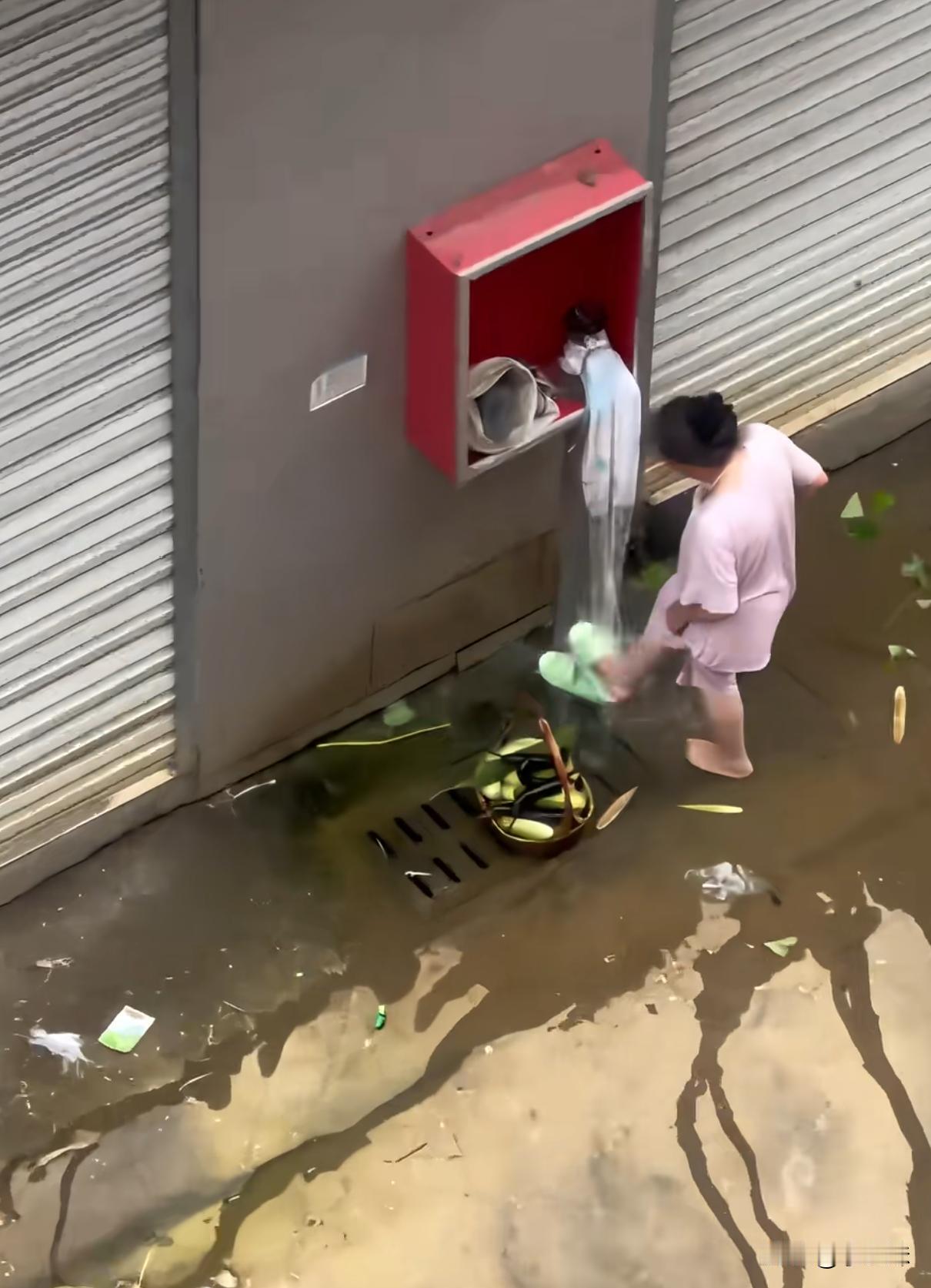 你大姨还是你大姨