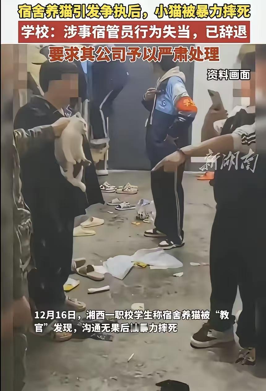 除了小猫无辜，其余全员恶人。教官没有控制好情绪，他主要想法还是要维护学校正常的秩
