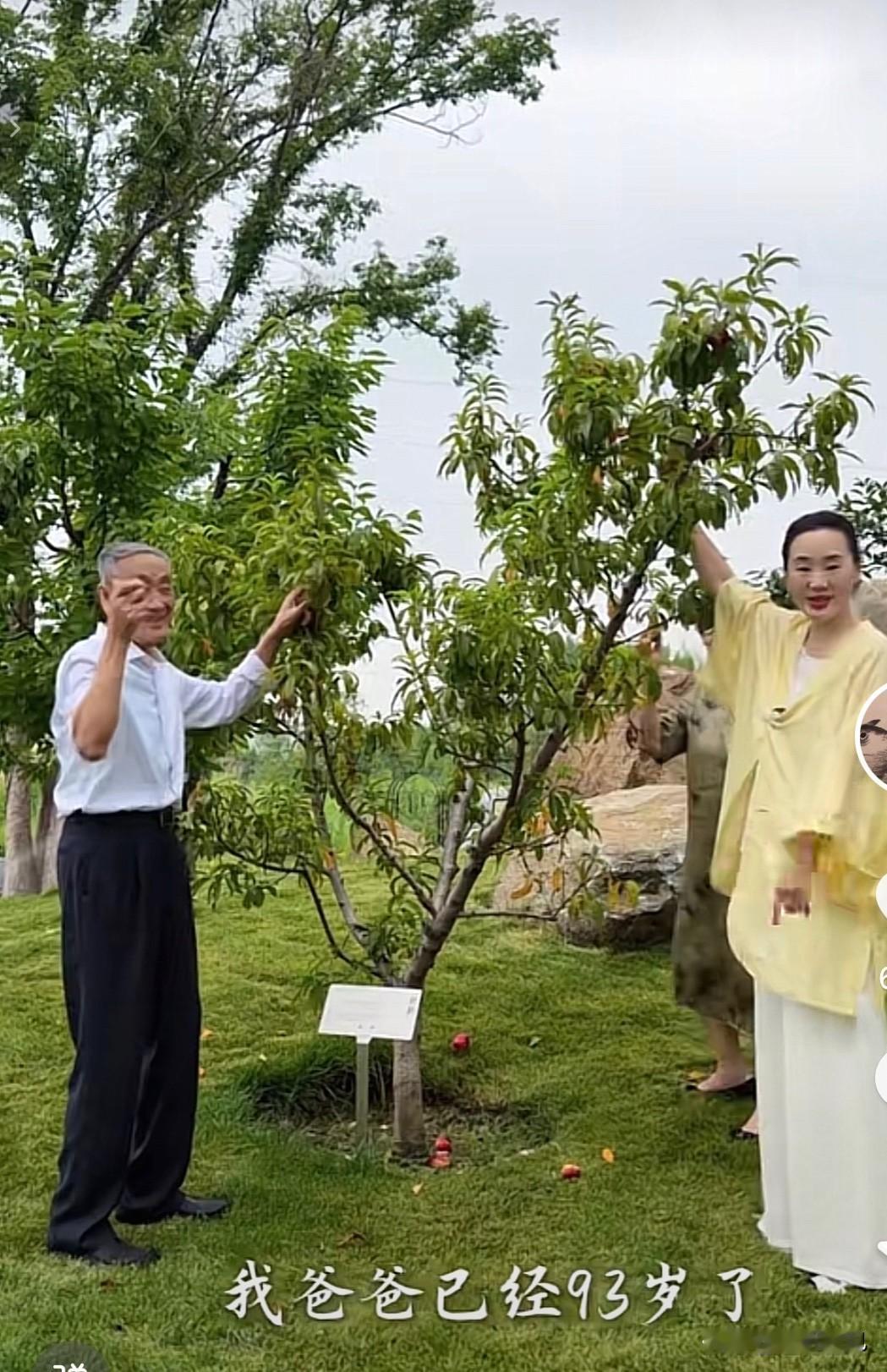 难怪林依轮西华一家如此幸福！西华的父母为女儿一家树立了榜样。西华更新视频