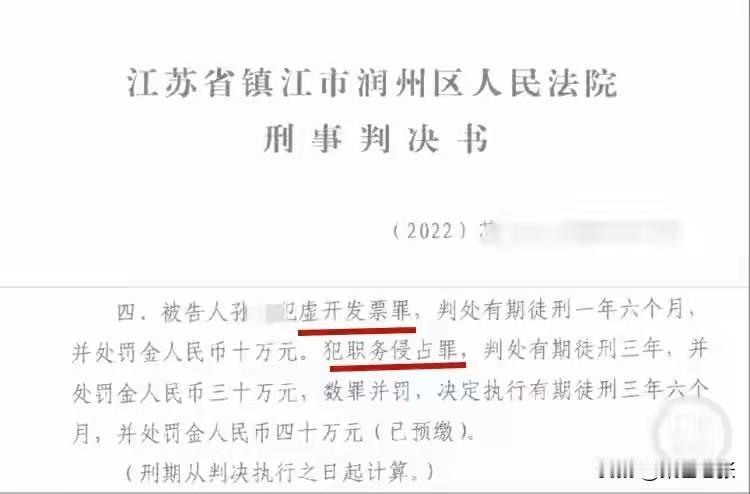 江苏镇江的孙某将“怀孕”这一手段运用得极为娴熟。她身为公司财务经理，因虚开发票罪