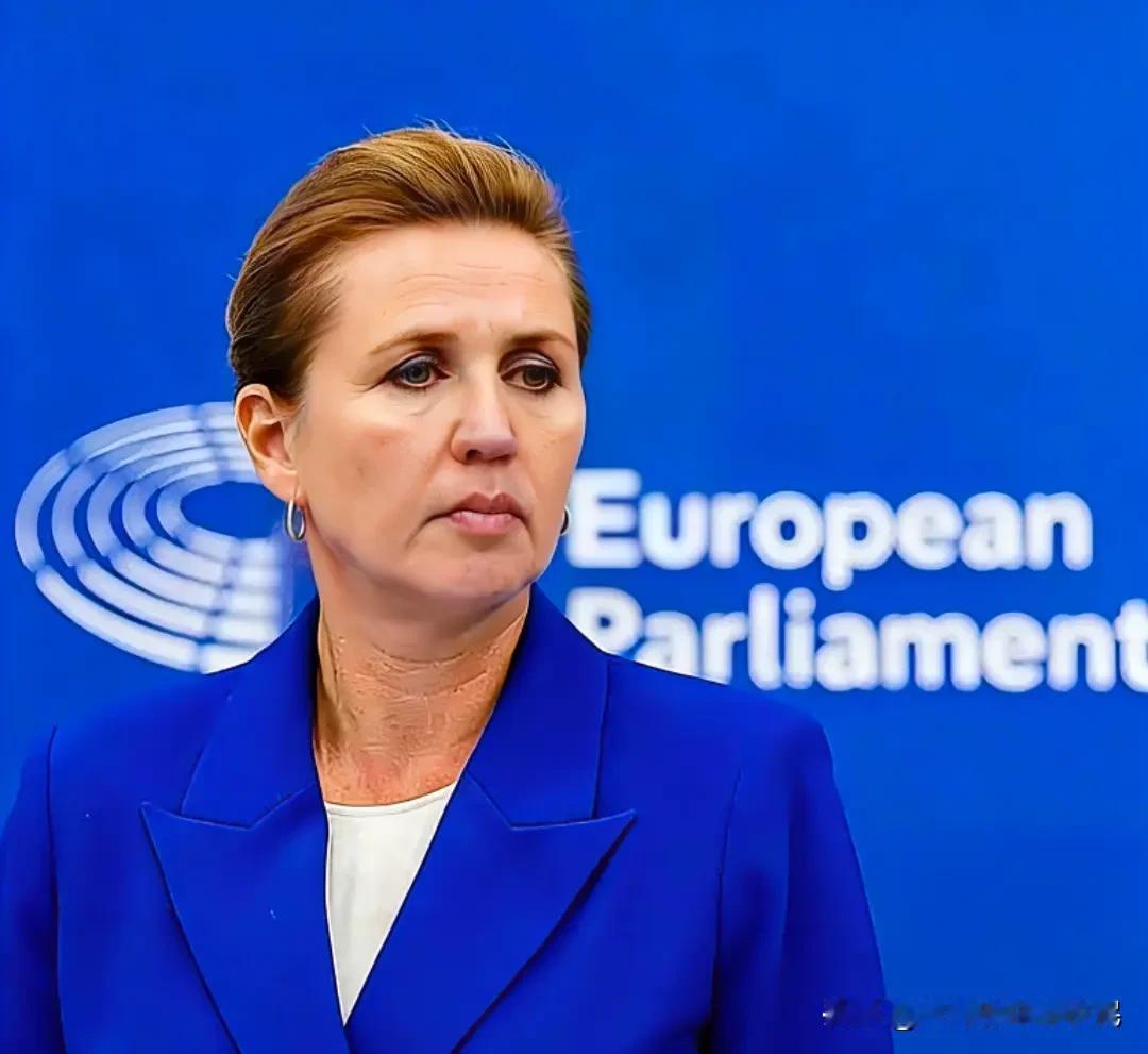 欧盟彻底疯魔！2027年全面禁俄气，自己人反目，美国笑到合不拢嘴家人们快来