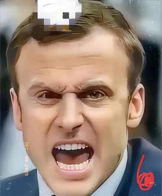 12月7日，马克龙在接受法国《回声报》采访时表示：“我已向中方表明，如果他们不予