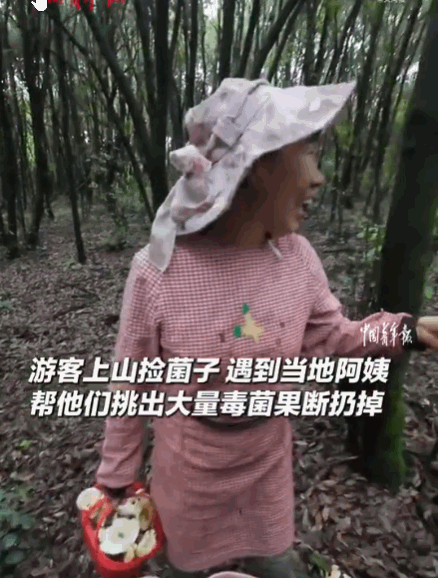 听人劝吃饱饭！云南，几名游客上山体验捡菌子，正嗨时遇到一位当地阿姨。阿姨凑近一看