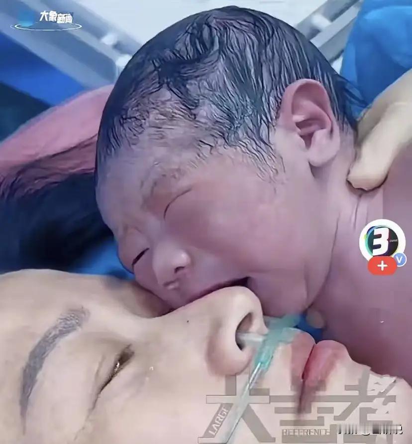 震撼！新生宝宝“认妈”本能揭秘：一抱就安静，科学背后藏惊人秘密！（素材来自网