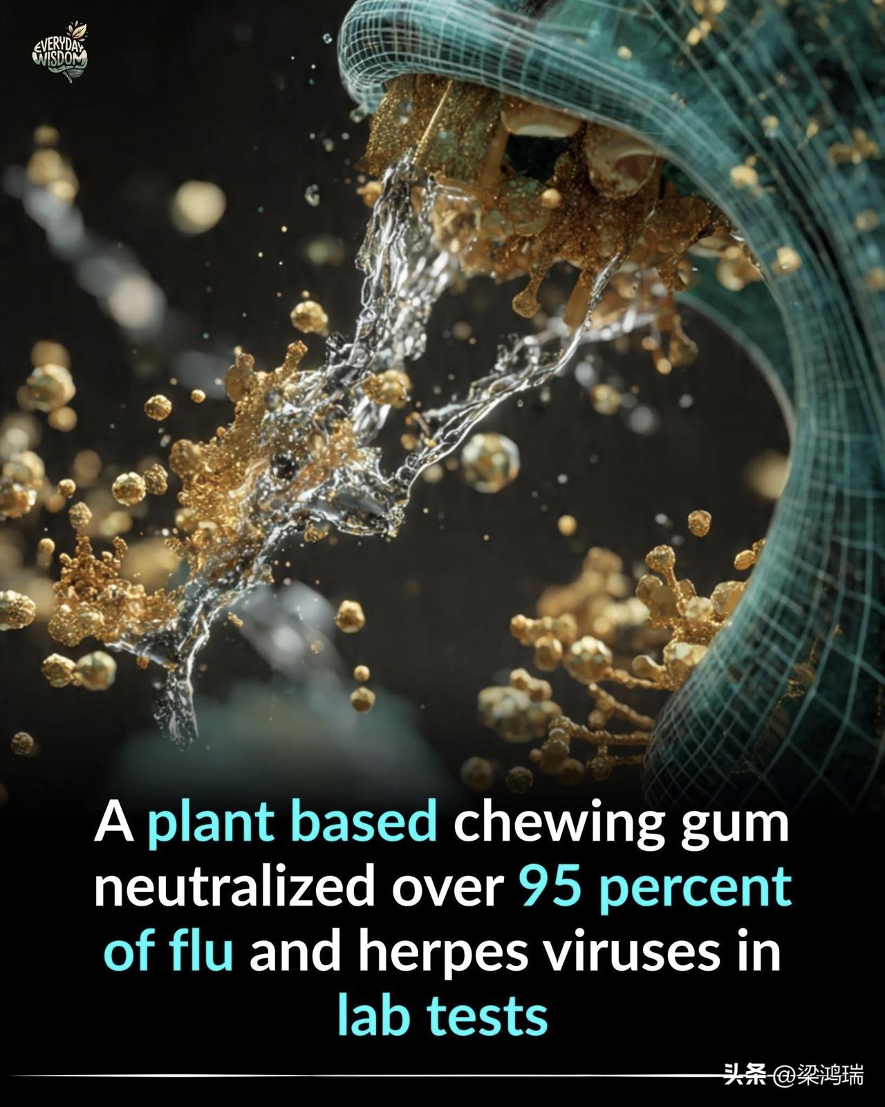 美国宾夕法尼亚大学(UniversityofPennsylvania)牙