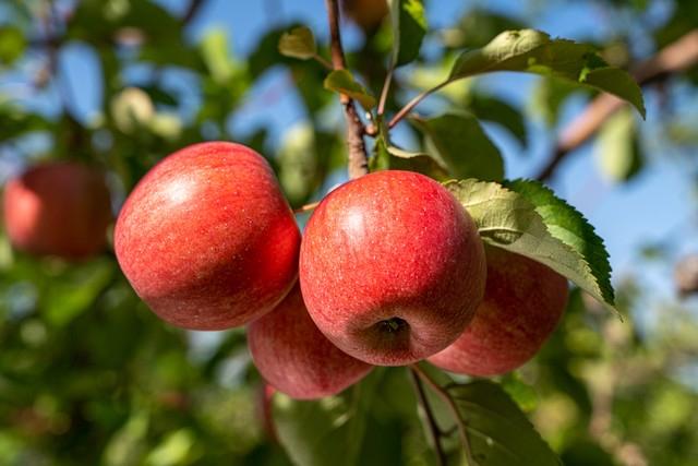 一个真实的案例！楼市里不得不承认的事实是：难的不是卖房，难的是下定卖房的决心！