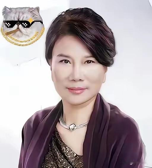 当荷兰政府耍流氓出手冻结闻泰科技资产的时候，让所有股东都直冒冷汗，而董明珠之前早