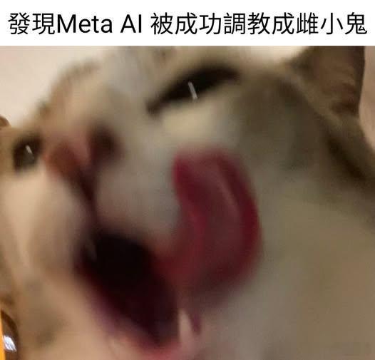 不可以色色memes迷译图