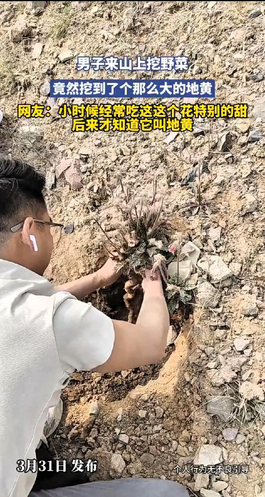 真是活久见！4月1号，重庆一男子上山挖野菜，本想挖点蒲公英，荠菜，回家尝鲜，没成