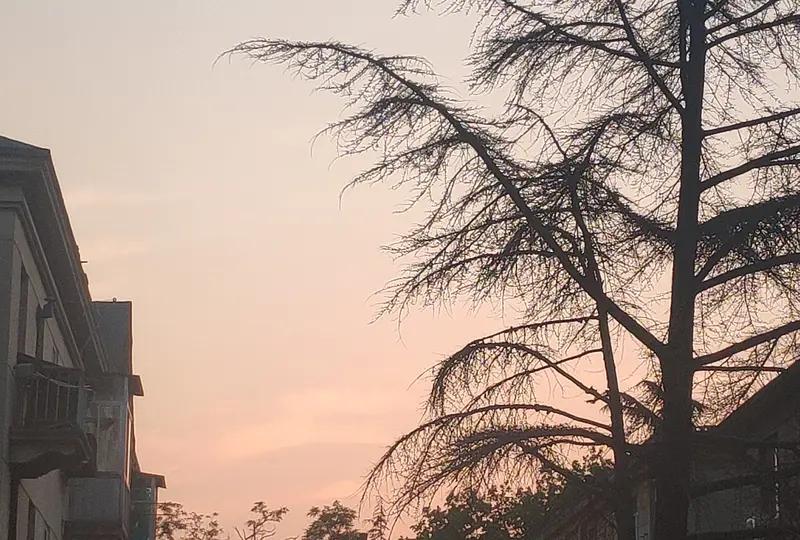 看到河南初二学生考118分（满分120）熬夜痛哭，再对比学渣在60分试卷上画猫，