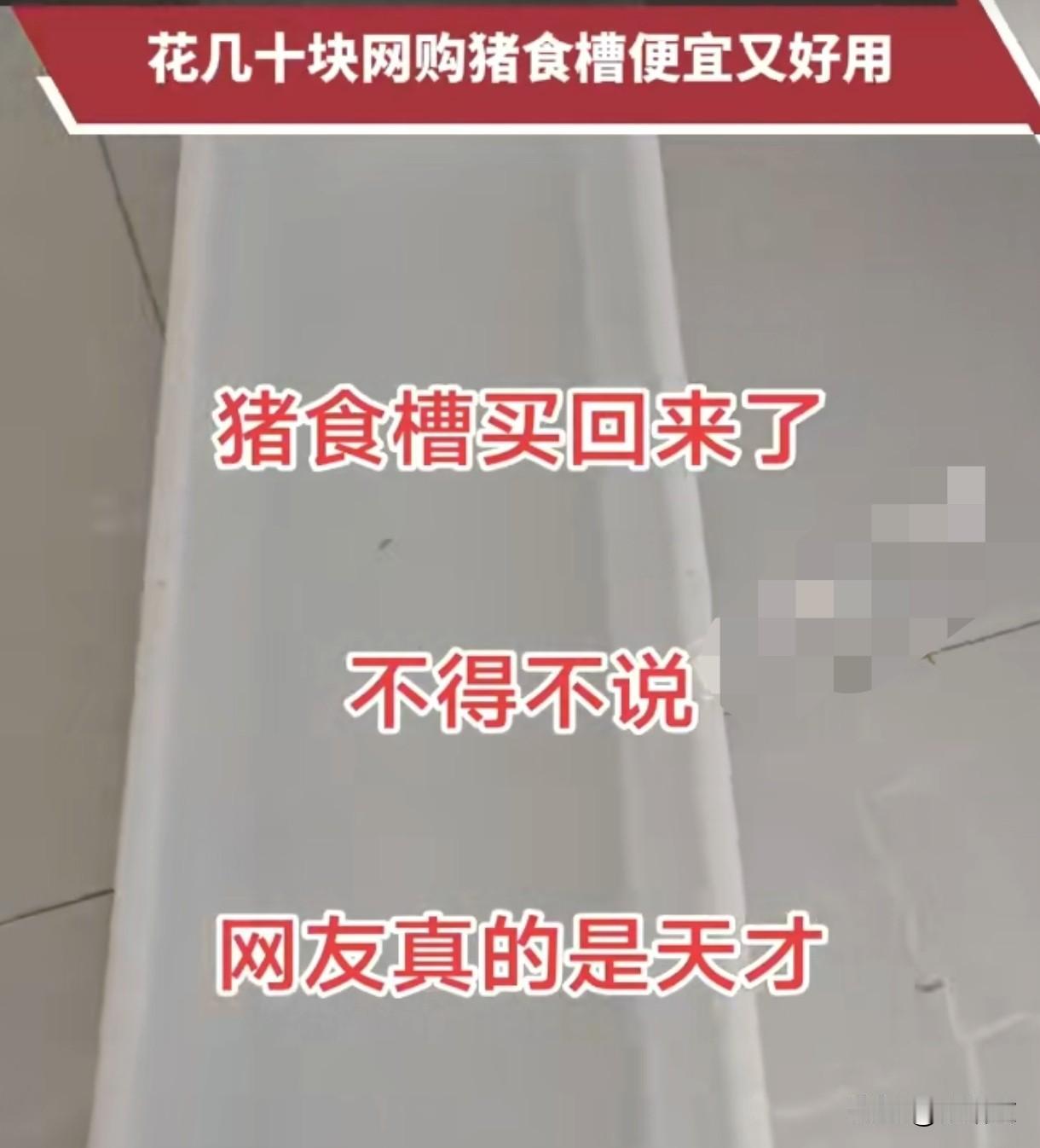 湖北宝妈绝了！用猪食槽装娃玩具，几十块解决全家头疼事！你敢信不？家里娃的玩